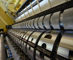 DSC_0012b_006-SF DSC_0012b_006-SF