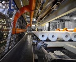 DSC_1031-(2)-SF DSC_1031-(2)-SF