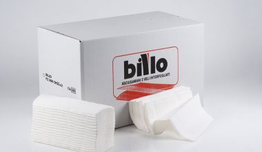 Asciugamani piegato a V 2 veli